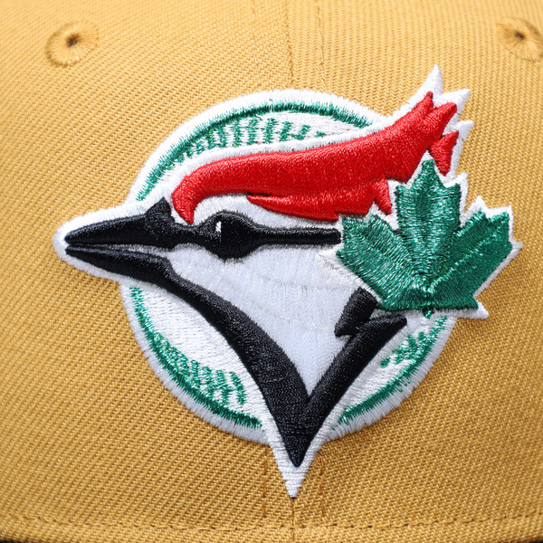 TORONTO BLUE JAYS NEW ERA 59FIFTY 25TH ANNIVERSARY HAT – Hangtime Indy